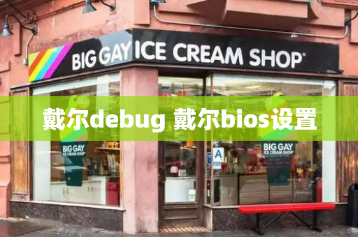 戴尔debug 戴尔bios设置-第1张图片-星选测评