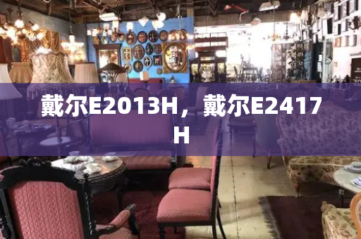 戴尔E2013H，戴尔E2417H