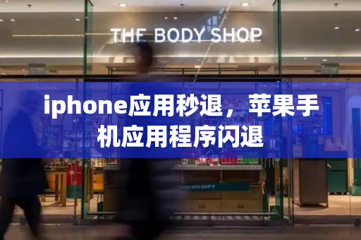 iphone应用秒退，苹果手机应用程序闪退-第1张图片-星选测评