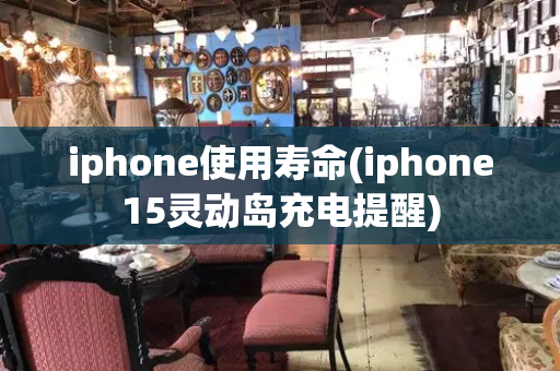 iphone使用寿命(iphone15灵动岛充电提醒)