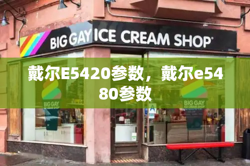 戴尔E5420参数，戴尔e5480参数-第1张图片-星选测评