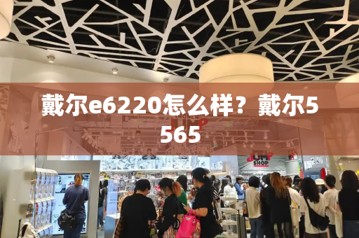 戴尔e6220怎么样？戴尔5565-第1张图片-星选测评