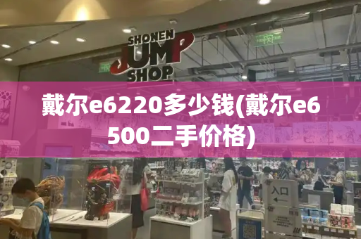 戴尔e6220多少钱(戴尔e6500二手价格)-第1张图片-星选测评