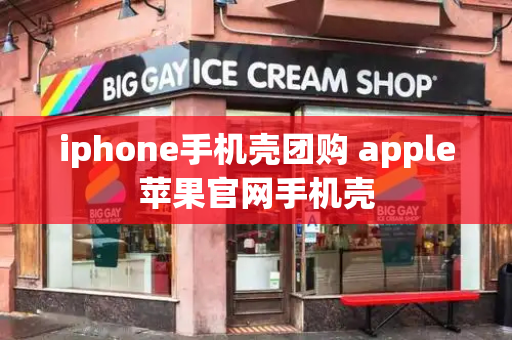 iphone手机壳团购 apple苹果官网手机壳