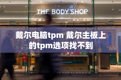 戴尔电脑tpm 戴尔主板上的tpm选项找不到-第1张图片-星选测评