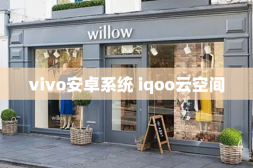 vivo安卓系统 iqoo云空间