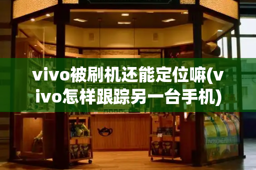 vivo被刷机还能定位嘛(vivo怎样跟踪另一台手机)