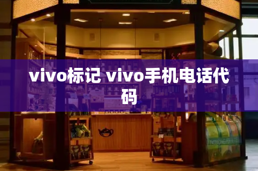 vivo标记 vivo手机电话代码