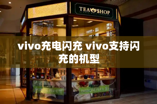 vivo充电闪充 vivo支持闪充的机型