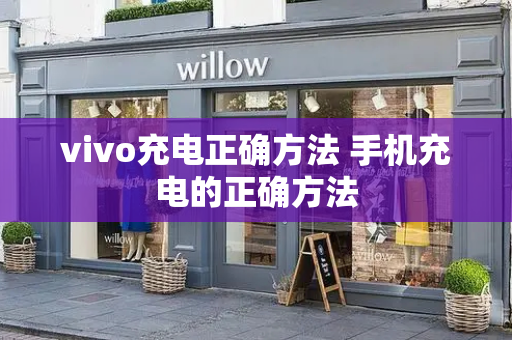 vivo充电正确方法 手机充电的正确方法