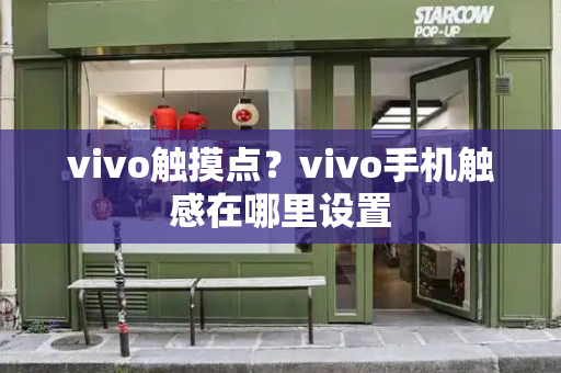 vivo触摸点？vivo手机触感在哪里设置-第1张图片-星选值得买