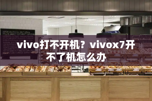 vivo打不开机？vivox7开不了机怎么办-第1张图片-星选值得买