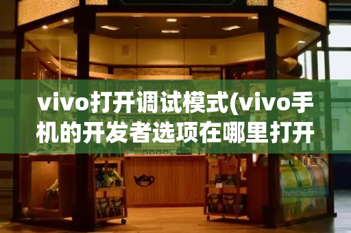 vivo打开调试模式(vivo手机的开发者选项在哪里打开)