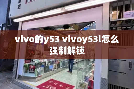 vivo的y53 vivoy53l怎么强制解锁-第1张图片-星选值得买