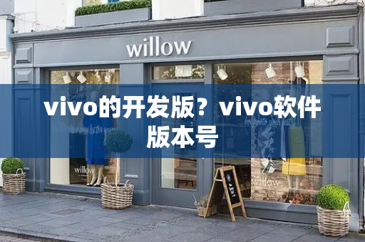 vivo的开发版？vivo软件版本号