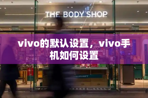 vivo的默认设置，vivo手机如何设置-第1张图片-星选值得买