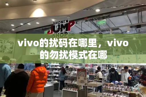 vivo的扰码在哪里，vivo的勿扰模式在哪-第1张图片-星选值得买