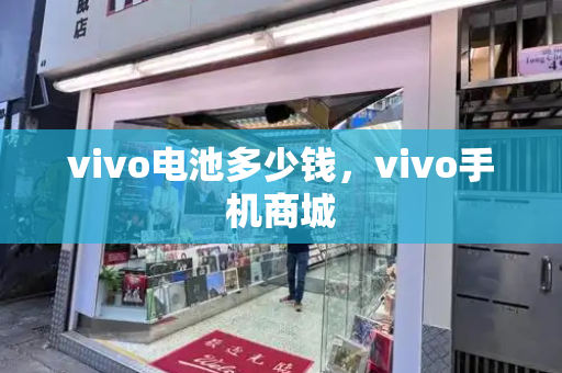 vivo电池多少钱，vivo手机商城-第1张图片-星选值得买