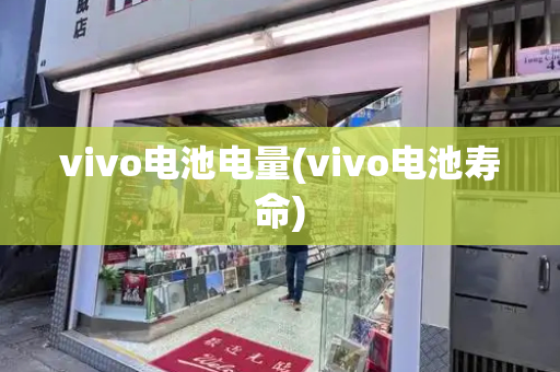 vivo电池电量(vivo电池寿命)