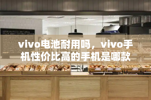 vivo电池耐用吗，vivo手机性价比高的手机是哪款