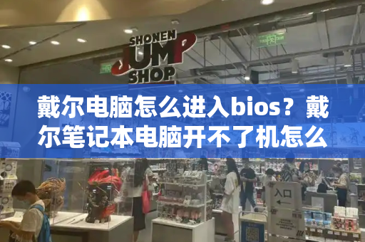 戴尔电脑怎么进入bios？戴尔笔记本电脑开不了机怎么办-第1张图片-星选测评