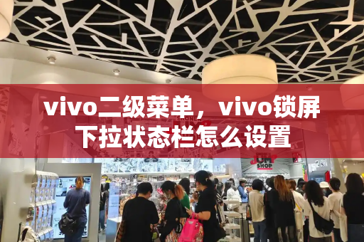 vivo二级菜单，vivo锁屏下拉状态栏怎么设置