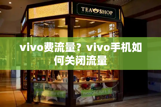 vivo费流量？vivo手机如何关闭流量-第1张图片-星选值得买