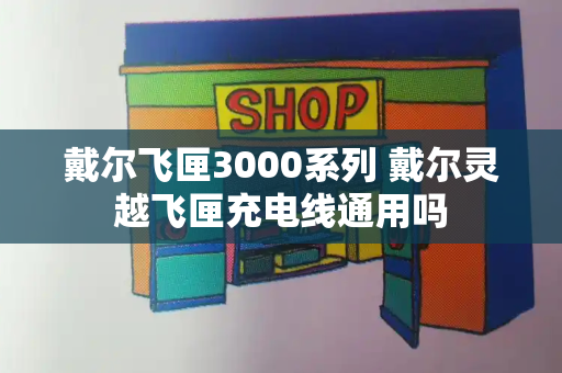 戴尔飞匣3000系列 戴尔灵越飞匣充电线通用吗