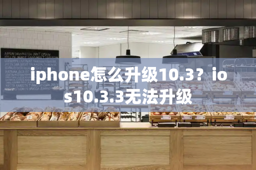iphone怎么升级10.3？ios10.3.3无法升级-第1张图片-星选测评