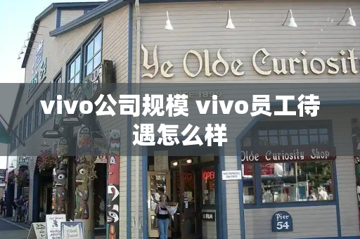 vivo公司规模 vivo员工待遇怎么样