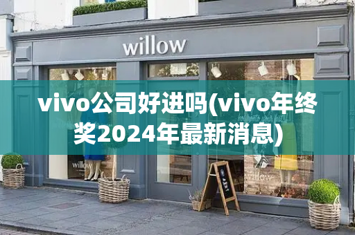 vivo公司好进吗(vivo年终奖2024年最新消息)