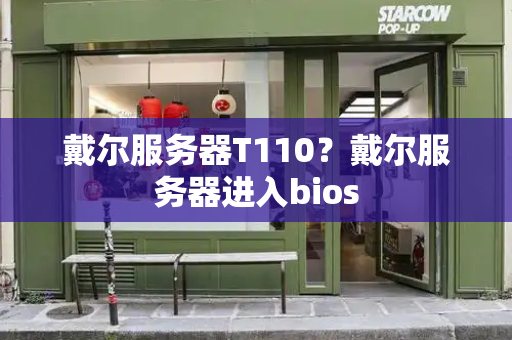 戴尔服务器T110？戴尔服务器进入bios-第1张图片-星选测评