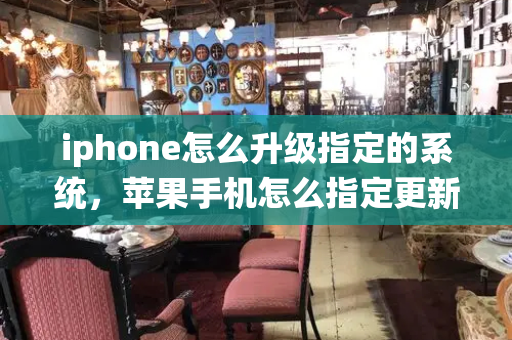 iphone怎么升级指定的系统，苹果手机怎么指定更新系统-第1张图片-星选测评