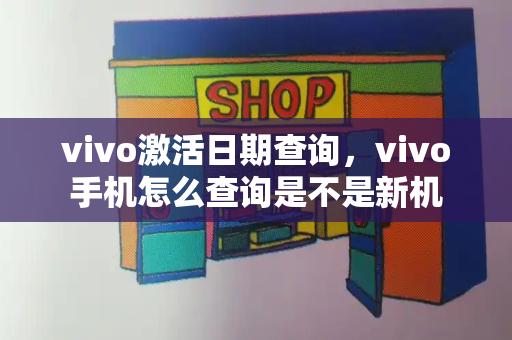 vivo激活日期查询，vivo手机怎么查询是不是新机-第1张图片-星选值得买