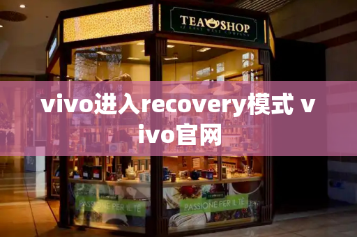 vivo进入recovery模式 vivo官网-第1张图片-星选值得买