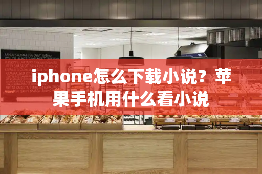 iphone怎么下载小说？苹果手机用什么看小说-第1张图片-星选测评