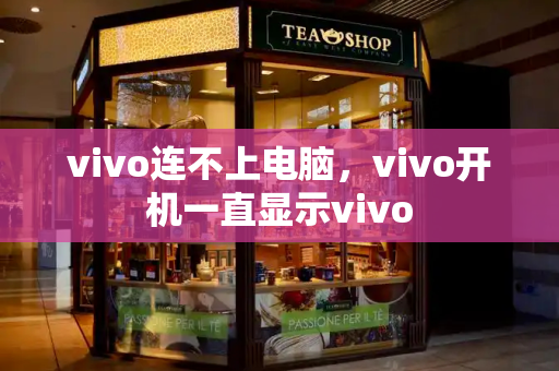 vivo连不上电脑，vivo开机一直显示vivo-第1张图片-星选值得买