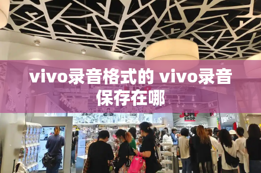 vivo录音格式的 vivo录音保存在哪