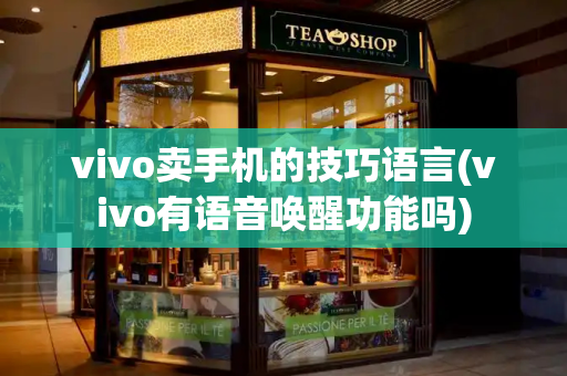 vivo卖手机的技巧语言(vivo有语音唤醒功能吗)