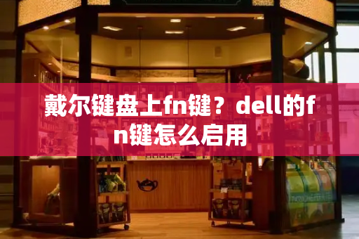 戴尔键盘上fn键？dell的fn键怎么启用-第1张图片-星选测评