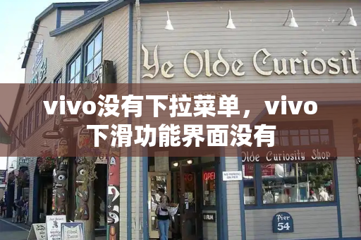 vivo没有下拉菜单，vivo下滑功能界面没有