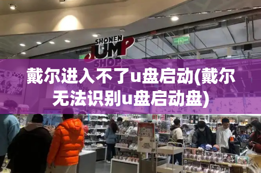 戴尔进入不了u盘启动(戴尔无法识别u盘启动盘)-第1张图片-星选测评