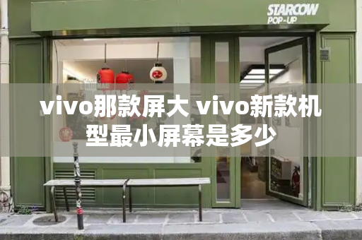 vivo那款屏大 vivo新款机型最小屏幕是多少