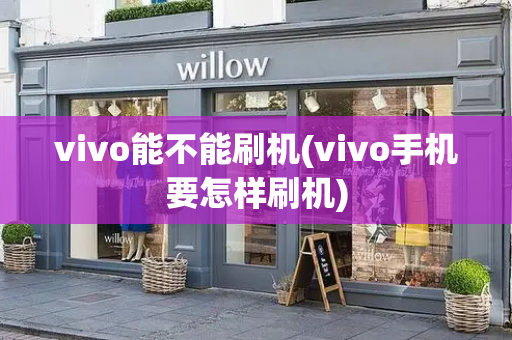 vivo能不能刷机(vivo手机要怎样刷机)