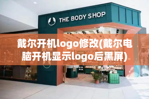 戴尔开机logo修改(戴尔电脑开机显示logo后黑屏)-第1张图片-星选测评