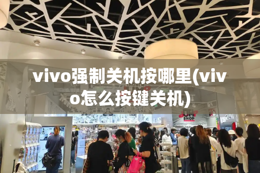 vivo强制关机按哪里(vivo怎么按键关机)-第1张图片-星选值得买