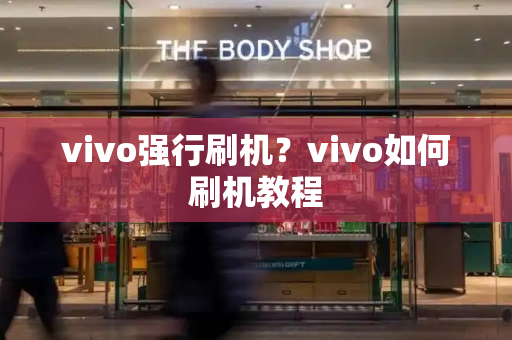 vivo强行刷机？vivo如何刷机教程