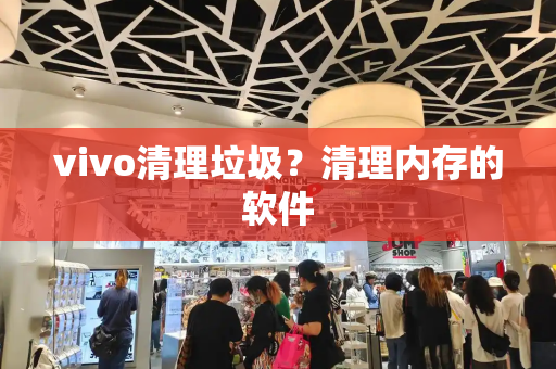 vivo清理垃圾？清理内存的软件-第1张图片-星选值得买