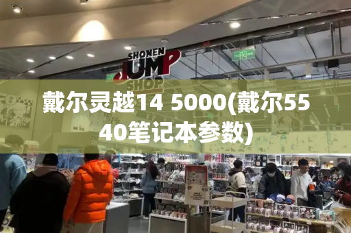 戴尔灵越14 5000(戴尔5540笔记本参数)