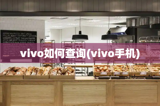 vivo如何查询(vivo手机)